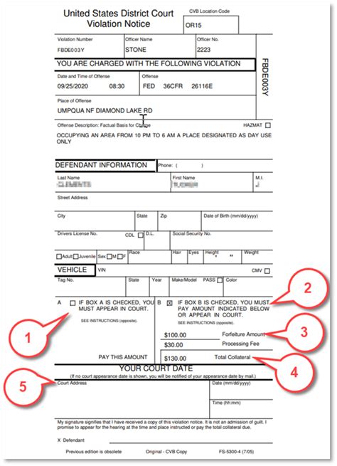 civil complaint and summons ticket indiana|cvb violation lookup.